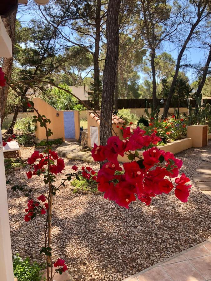 Apartamento Sa Ginebra, Cala Saona Eksteriør bilde