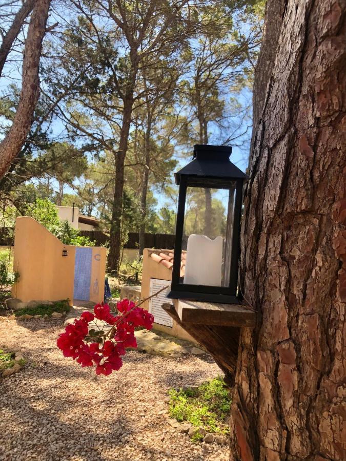 Apartamento Sa Ginebra, Cala Saona Eksteriør bilde