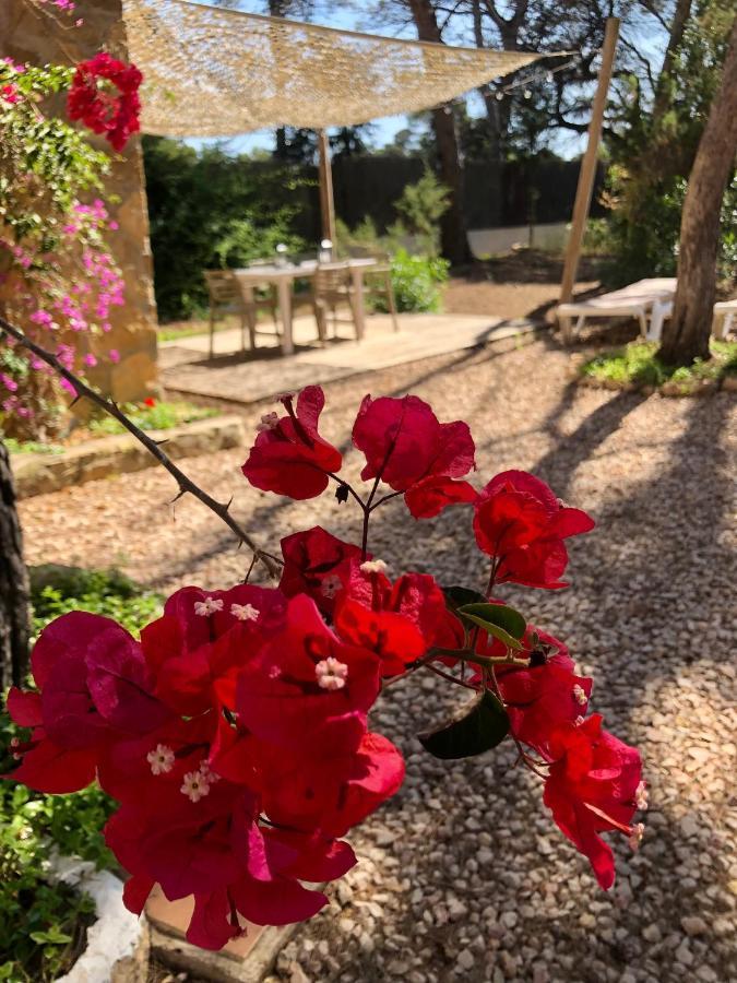 Apartamento Sa Ginebra, Cala Saona Eksteriør bilde
