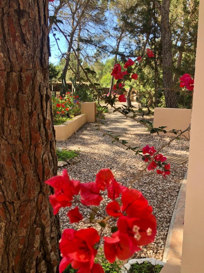 Apartamento Sa Ginebra, Cala Saona Eksteriør bilde