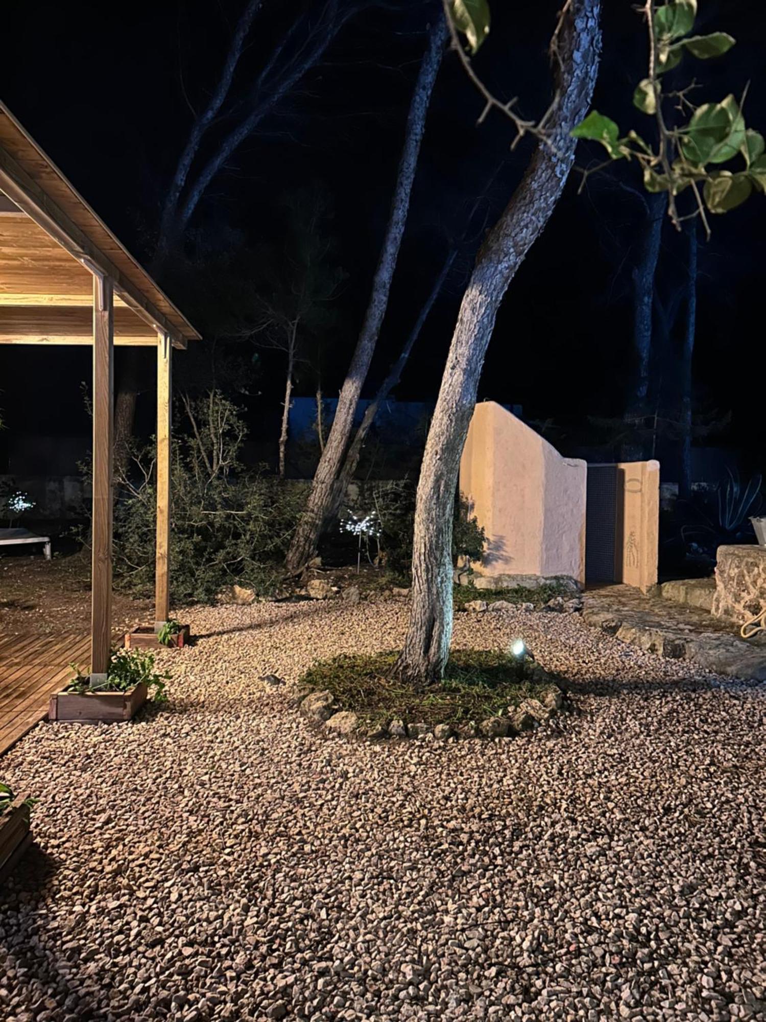 Apartamento Sa Ginebra, Cala Saona Eksteriør bilde